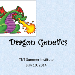 Dragon genetics lab answer key