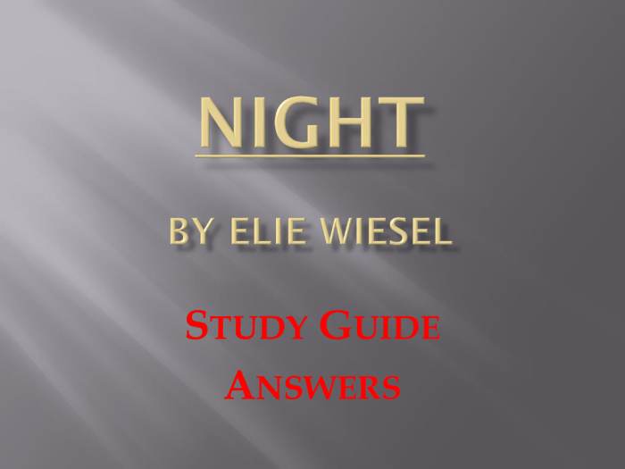 Questions about night by elie wiesel