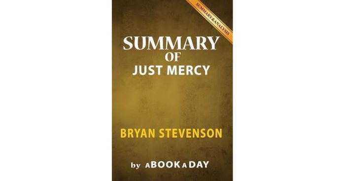 Chapter 11 just mercy summary