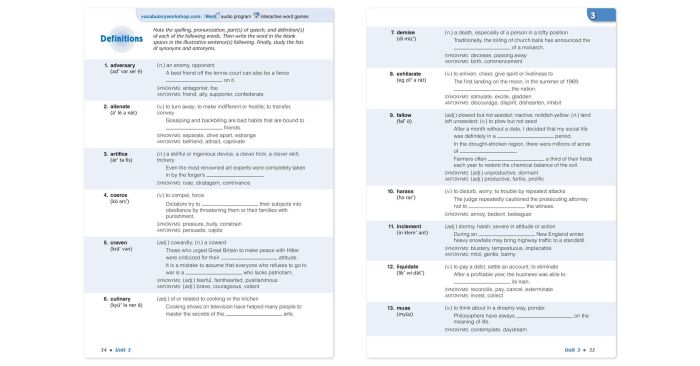 Vocabulary workshop level e unit 4