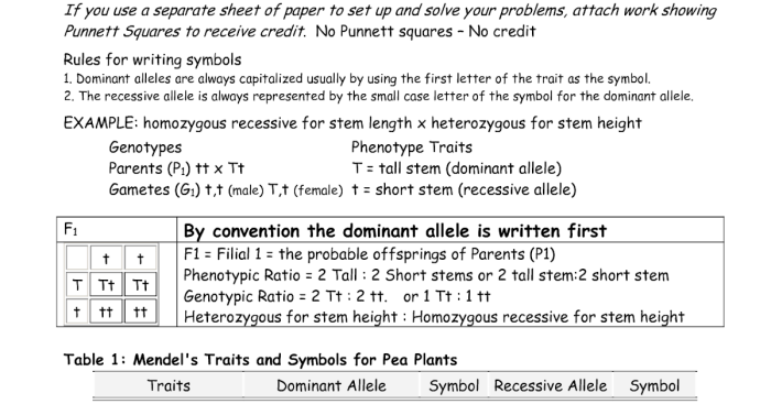 Dragon genetics lab answer key