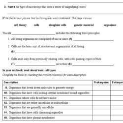 Biology chapter 6 vocabulary practice answers pdf