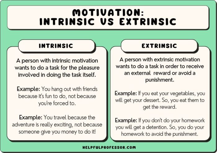 Intrinsic motivation reflects desires that others have